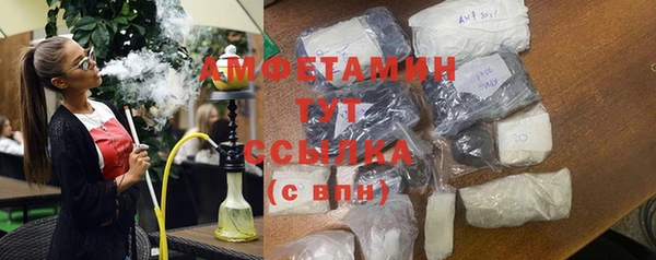 гидра Елизово